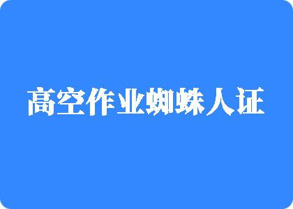 艹骚逼视频高空作业蜘蛛人证